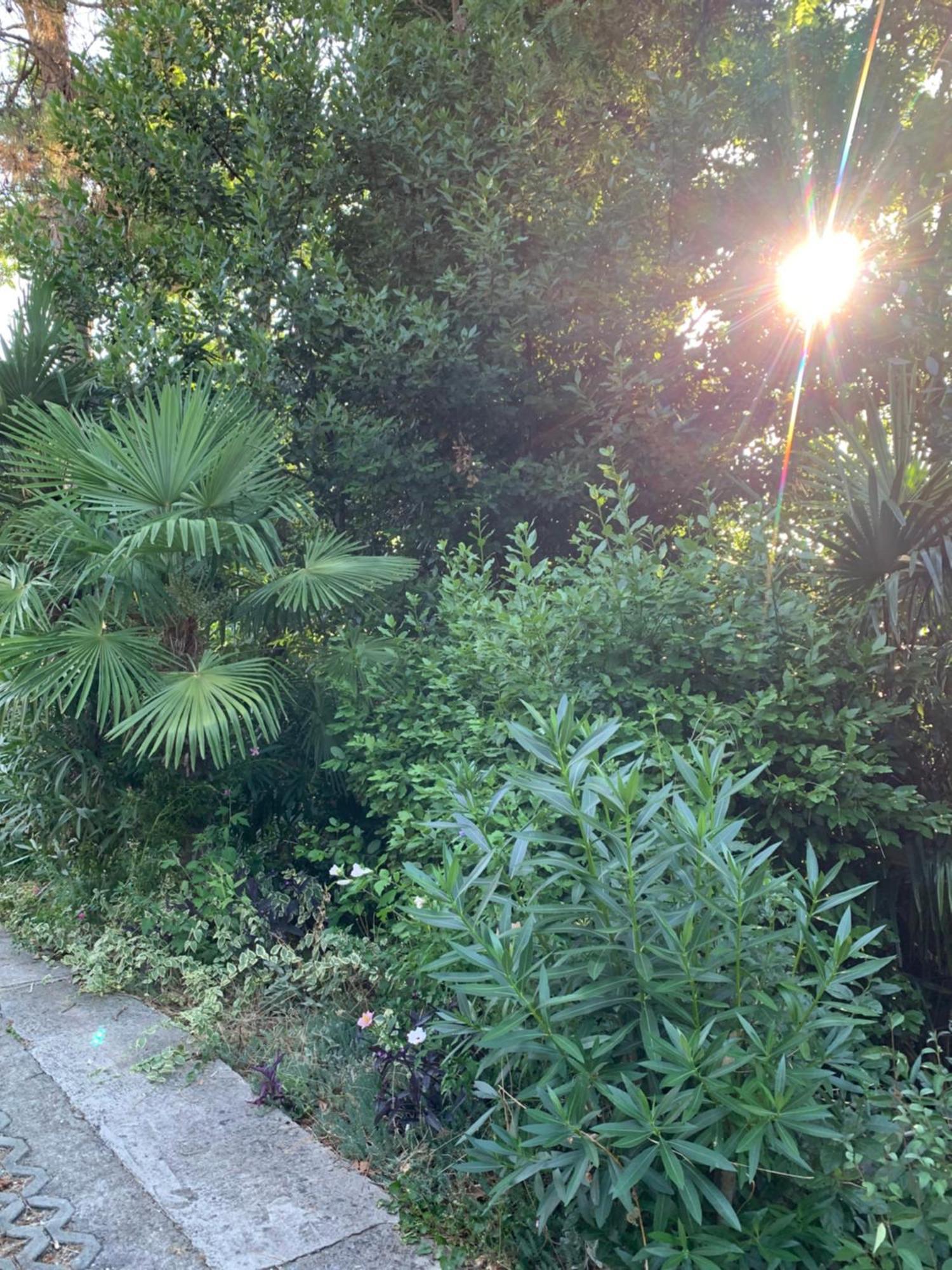 Sheltered Green Oasis In Opatija Exterior photo